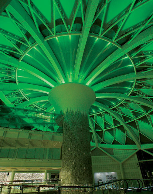 Anolis in architectural lighting first at Sandton City