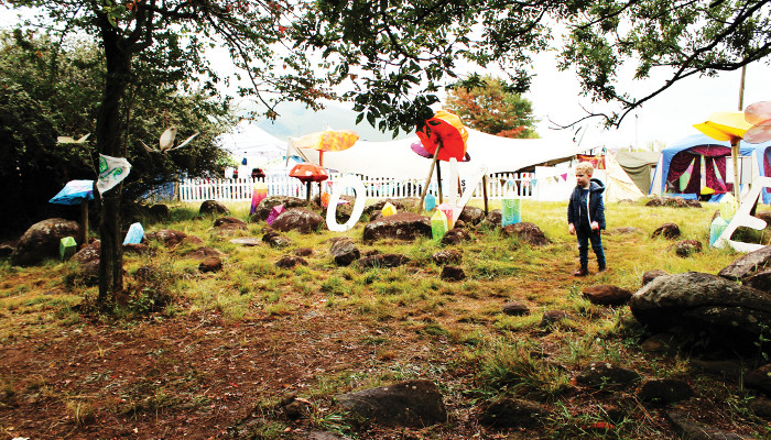 Impi takes over the reins for Splashy Fen