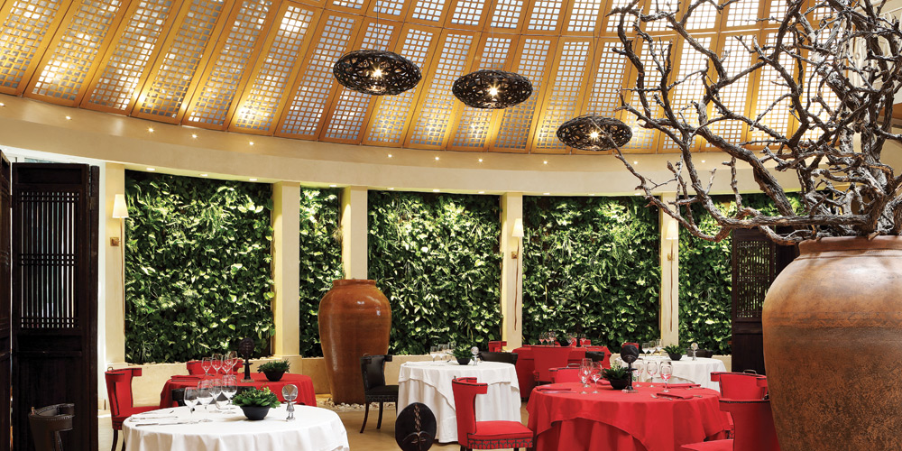 The Saxon delivers an exceptional guest experience