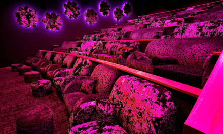 Anolis colours up new leisure concept