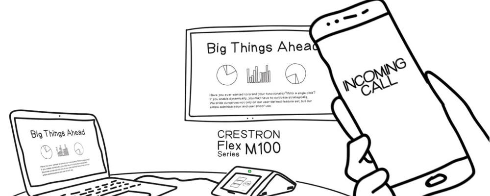 COMPLETE PORTFOLIO OF CRESTRON FLEX